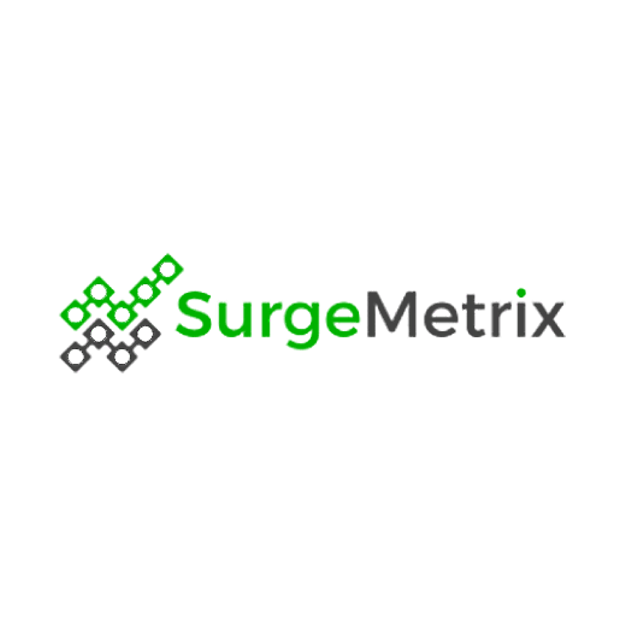 SurgeMetrix logo